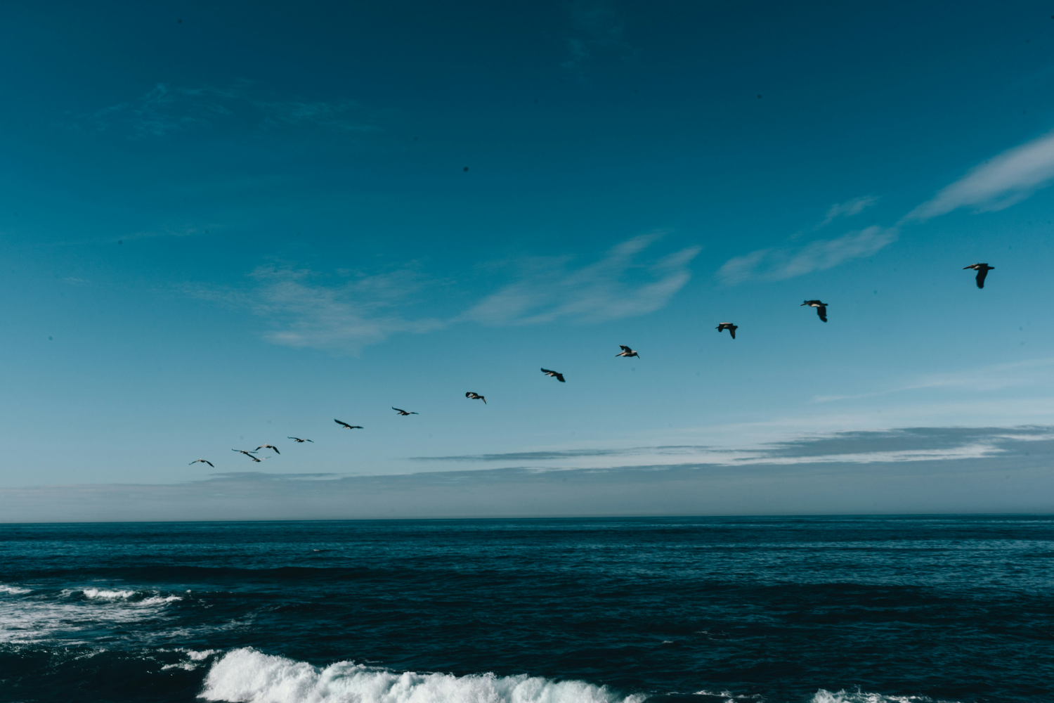 Decorative image of geese flying in a line over water.